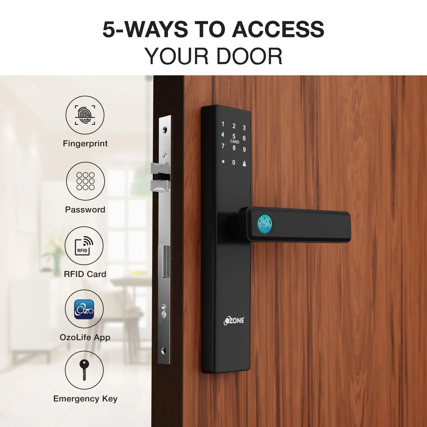 Morphy Life Lite-2 Wi-Fi Smart Door Lock with 4-way access | Door Thickness: 30-65 mm - Image 4