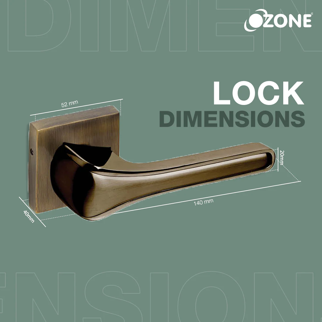 Ozone Falcon Heavy Duty Mortise Door Lock Handle Set with Rose Plate | (Antique Brass Finish) - Image 2